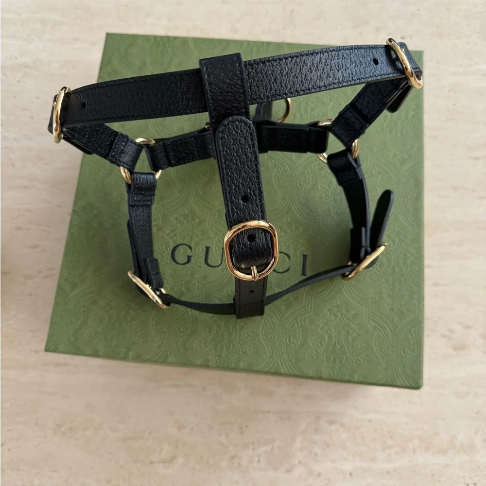 NWB Gucci GG Logo Black Leather Pet - Dog Harness with Gold Buckles Size M
